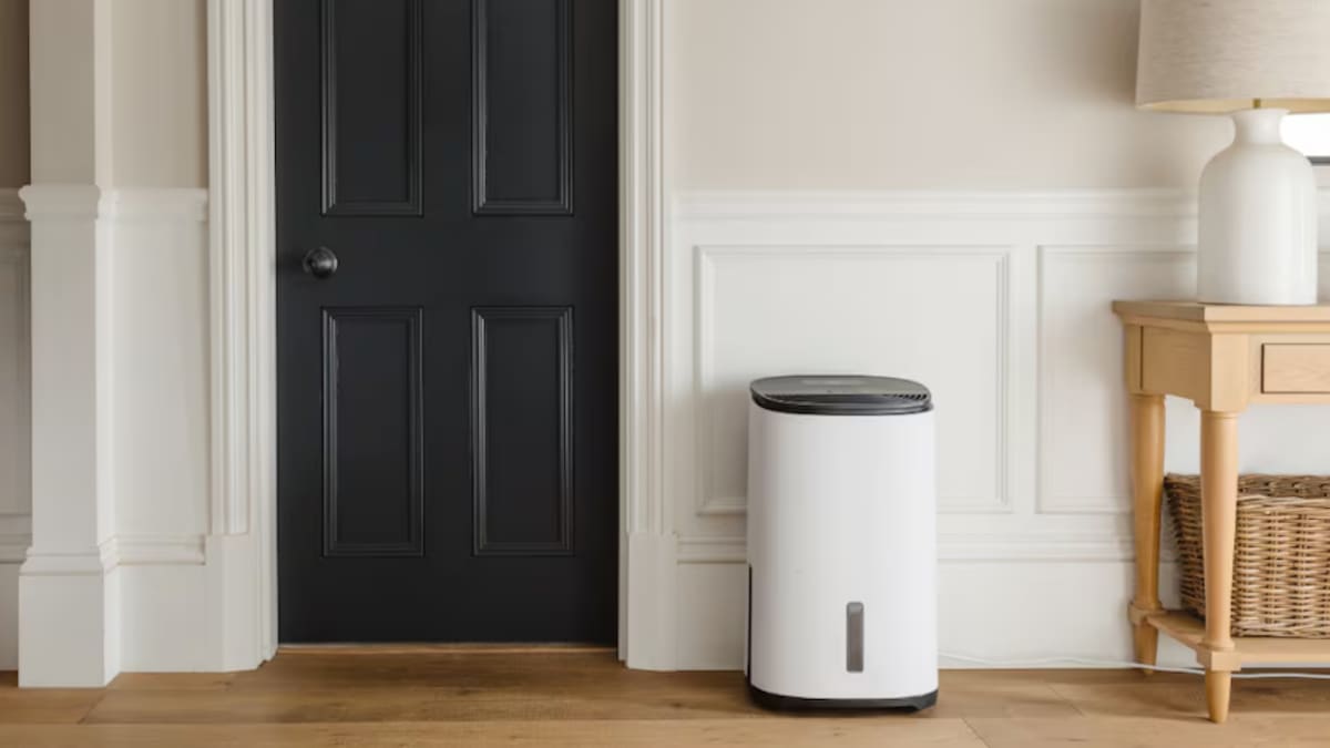 Adiós a la humedad en casa: cómo elegir el deshumidificador ideal para cada estancia