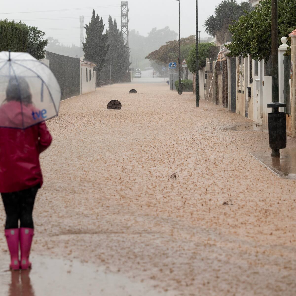 Suspendidas las clases en colegios, institutos y la Universidad de Málaga por segundo día