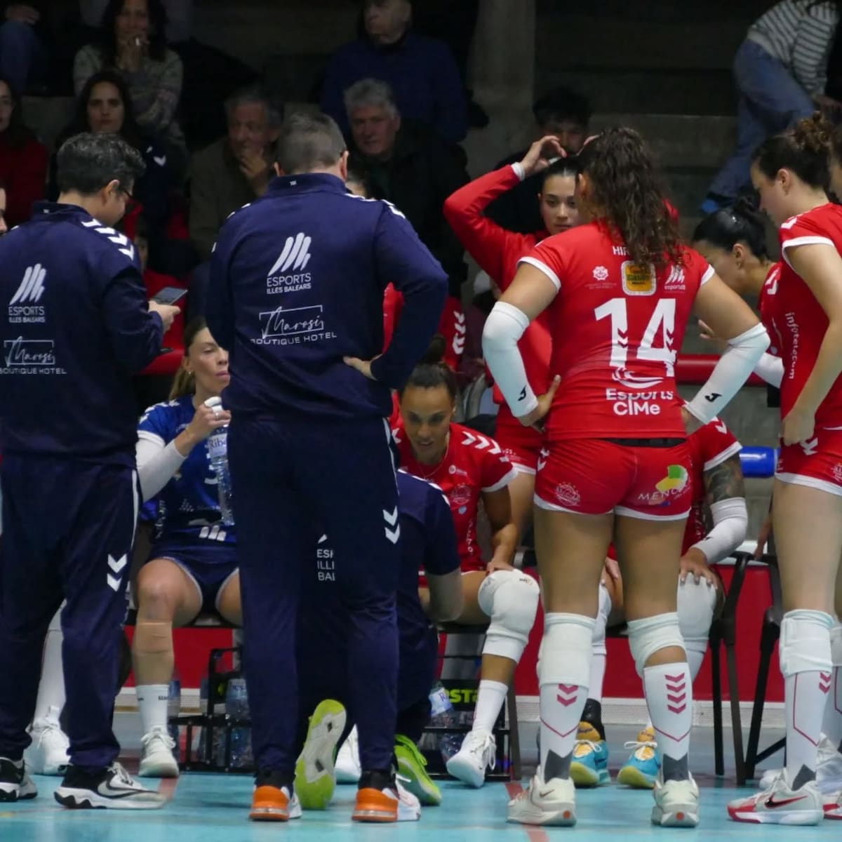 Final cruel per l'Avarca