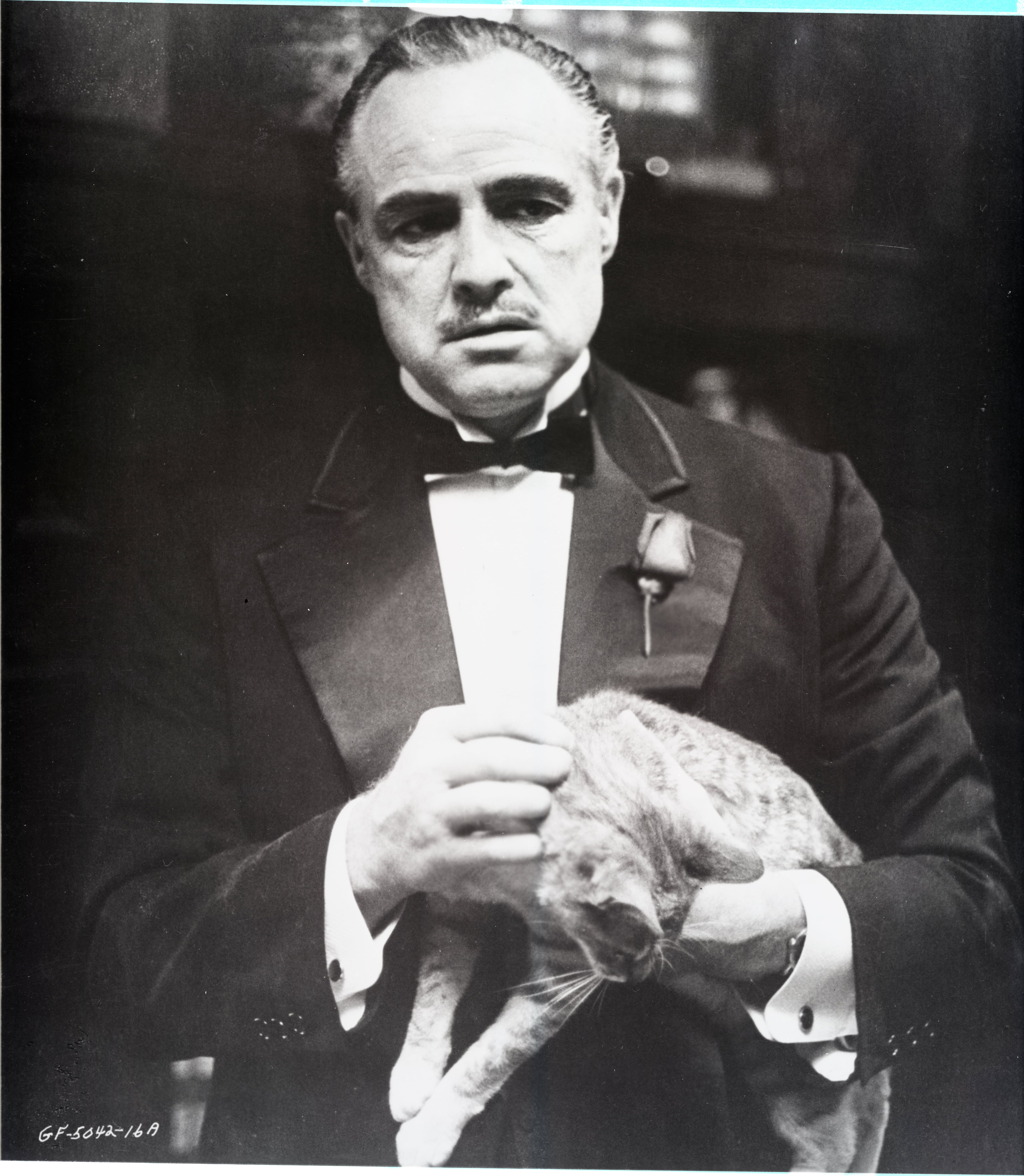 Marlon Brando acaraciando al gato en la escena inicial de El padrino