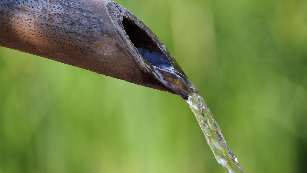 "Somos las regiones más deficitarias de agua de España. No somos competencia, sino parte del problema"