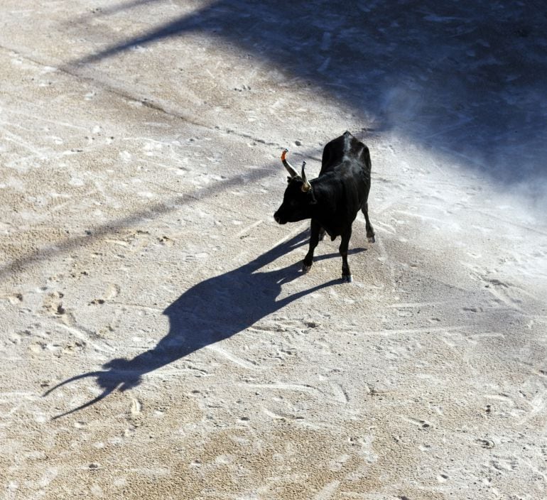 Imagen de un encierro.