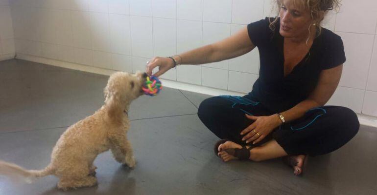 Buddy amb la seva propietària