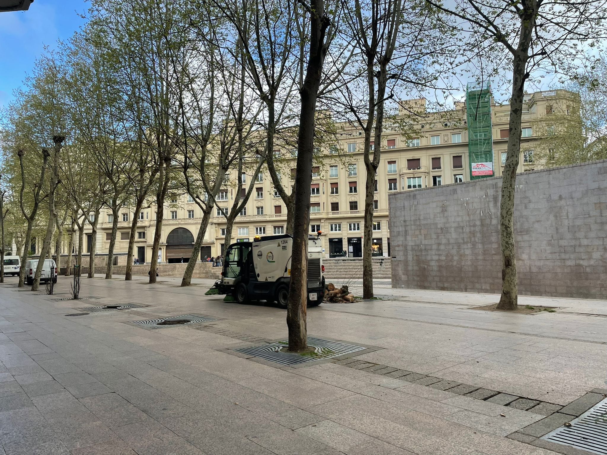 Tala de árboles en la Plaza de los Fueros de Vitoria para plantar hayas