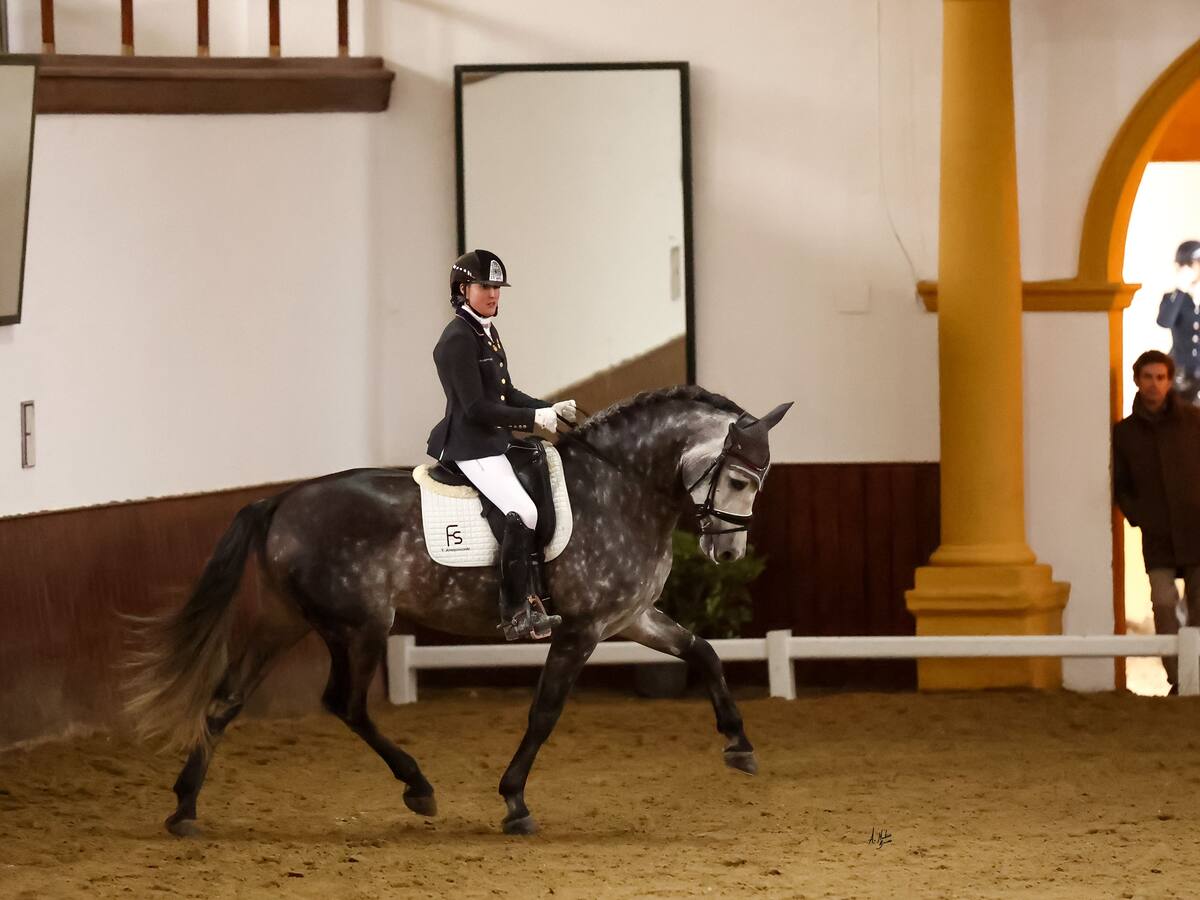 Rociero FS, de la Yeguada Arroyomonte, medalla de oro en el Concurso de Doma Clásica Internacional de Jerez