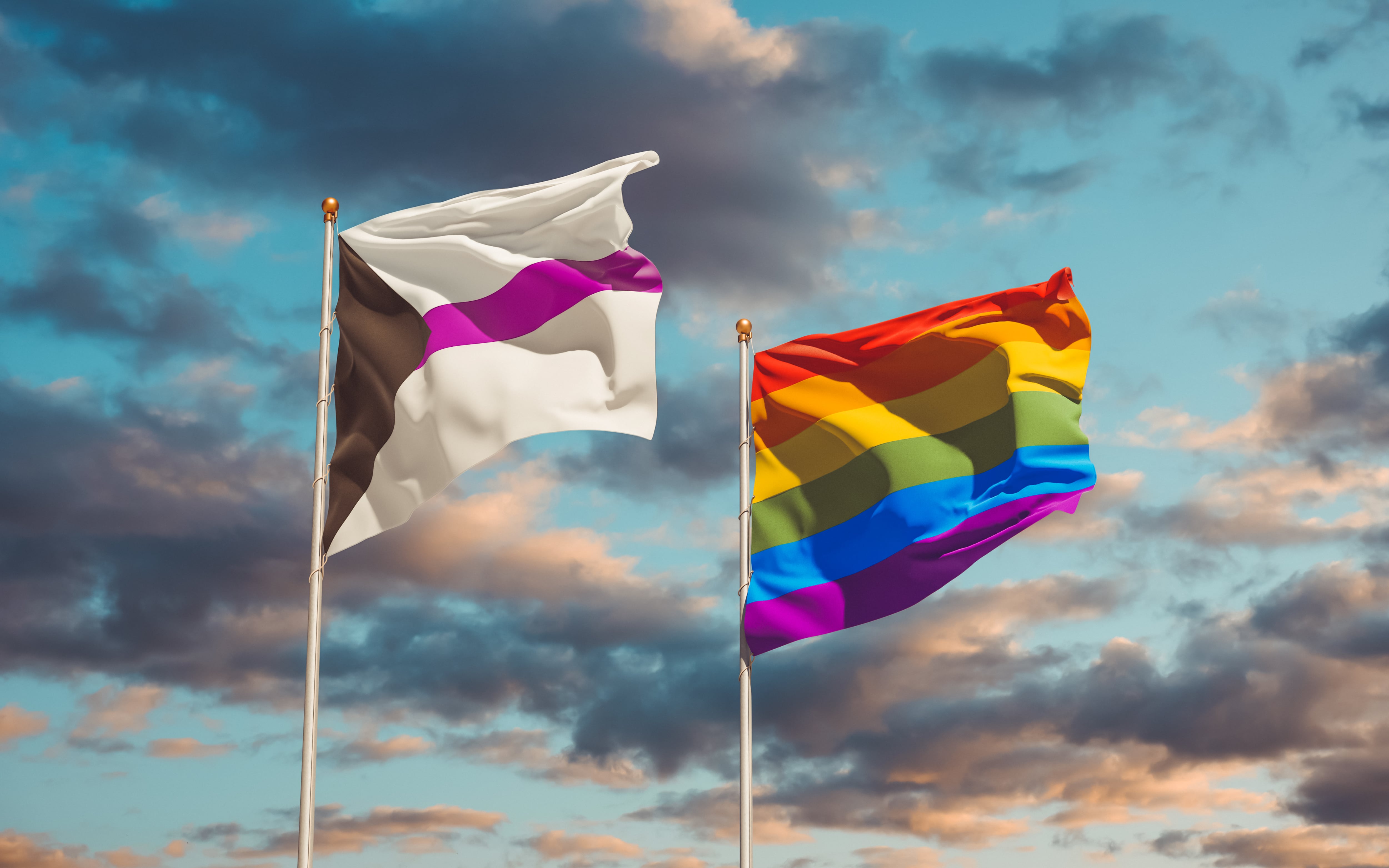 La bandera del orgullo demisexual utiliza los mismo colores que los de la asexualidad.