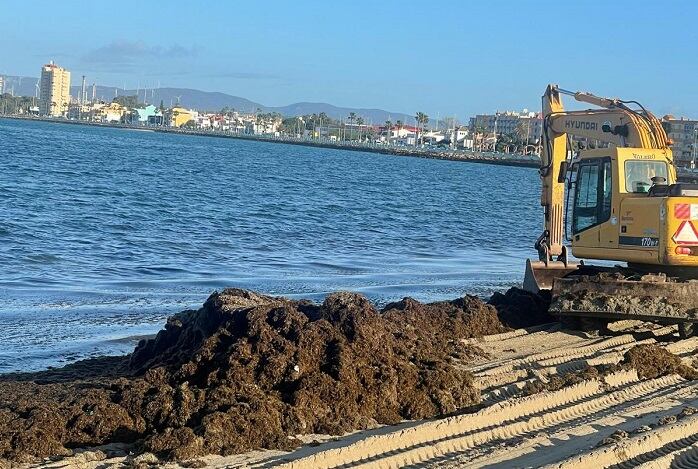Retirada de algas en Poniente