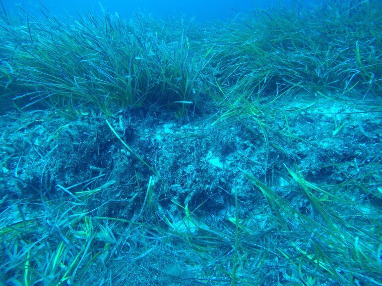 La previsión de Medio Ambiente es que la normativa entre en vigor a partir de este verano