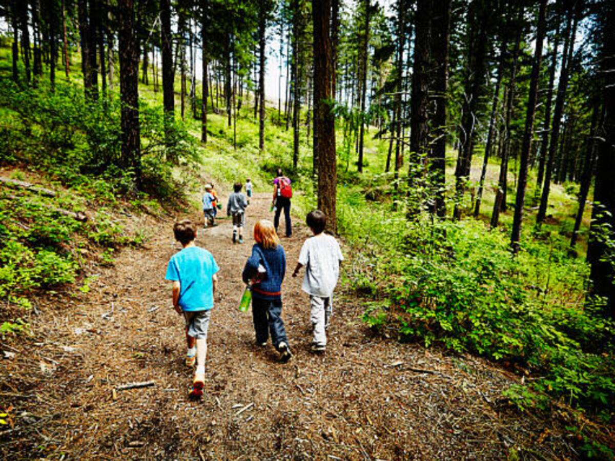 Gipuzkoa oferta más de 1.000 plazas para Udalekuak y abre inscripciones en marzo