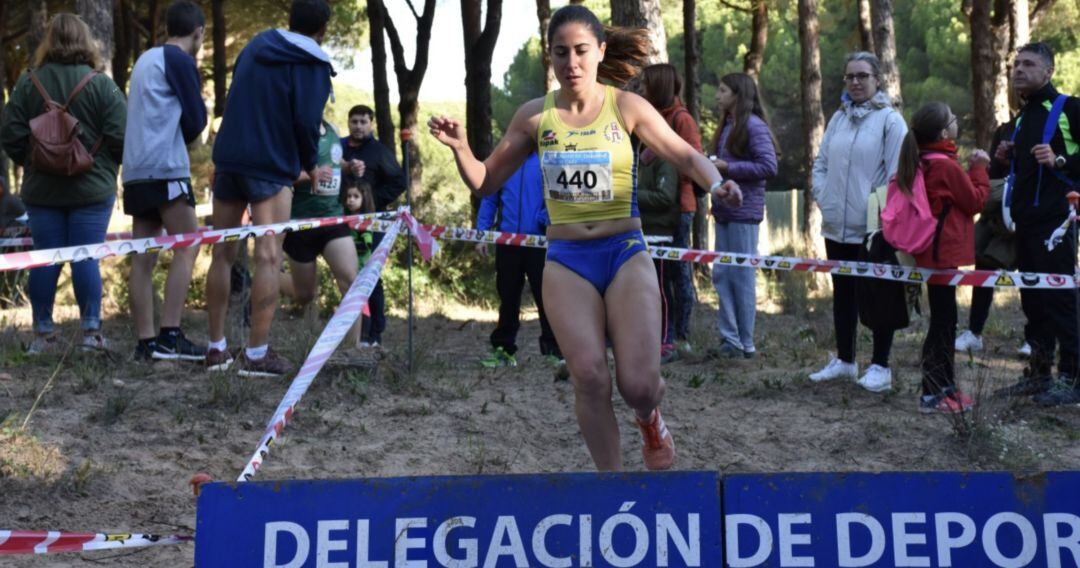 El próximo sábado 9 de noviembre se celebra la V edición del Cross de Estella &quot;Alberto Borrego&quot;