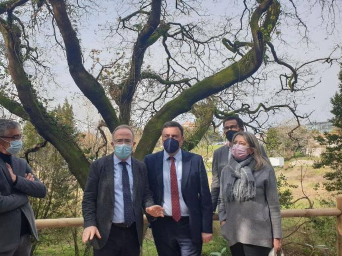 Bugallo pide ayuda a las Tanxugueiras