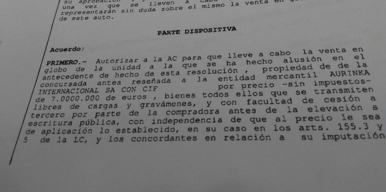 Auto del Juez que dispone la venta de Silicio Solar