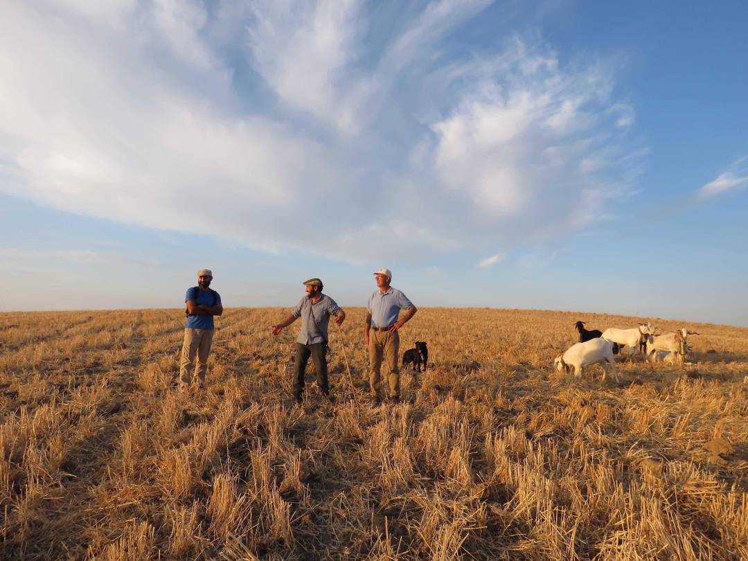 Ganaderos de Córdoba en defensa de la ganadería extensiva