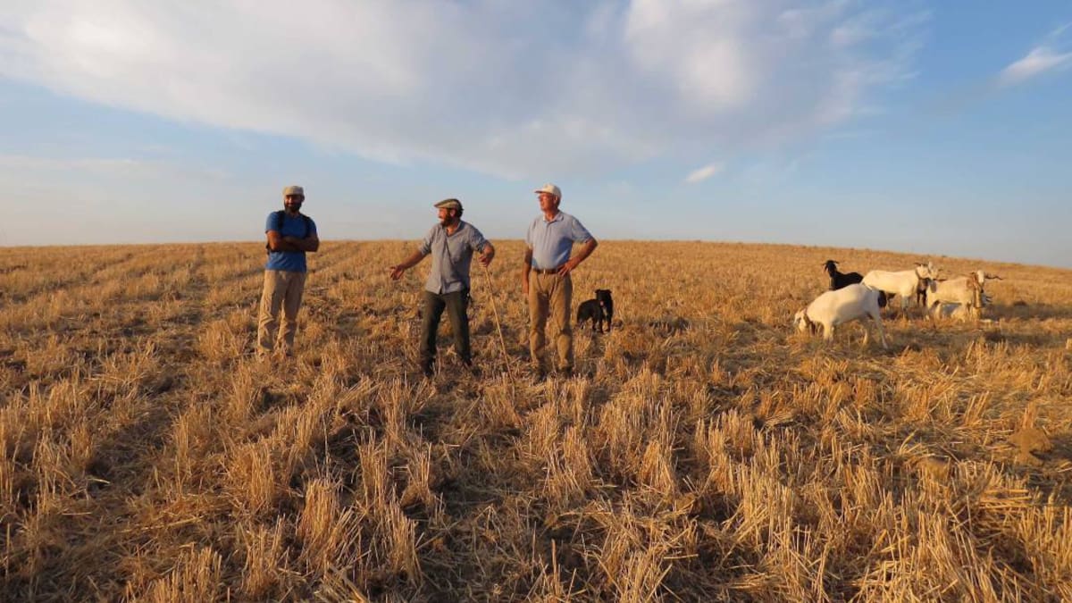 Diario del despoblamiento