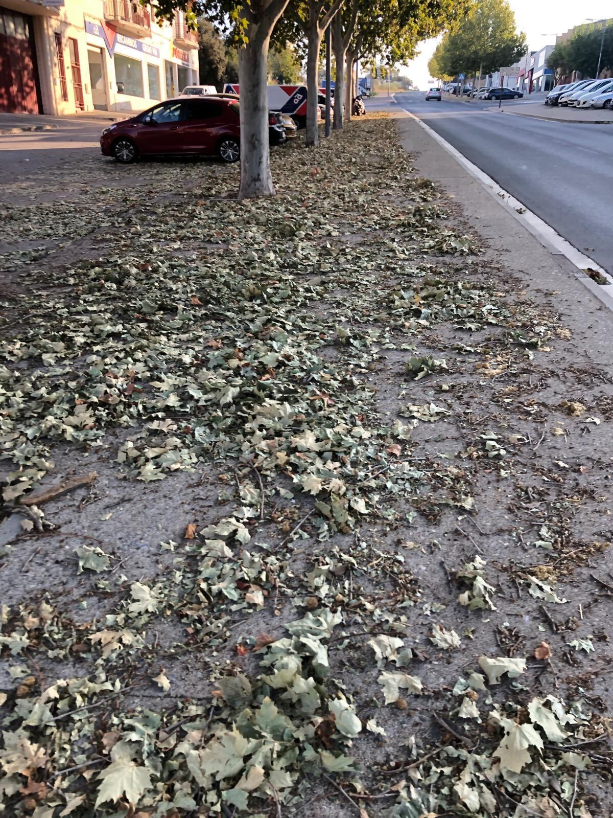 El PSOE exige una actuación de emergencia para la mejora de la limpieza en la ciudad. Foto: PSOE Barbastro