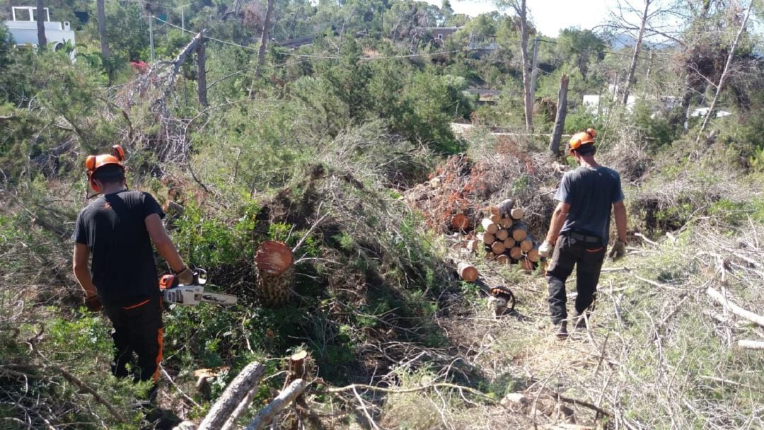 Imagen de la zona afectada