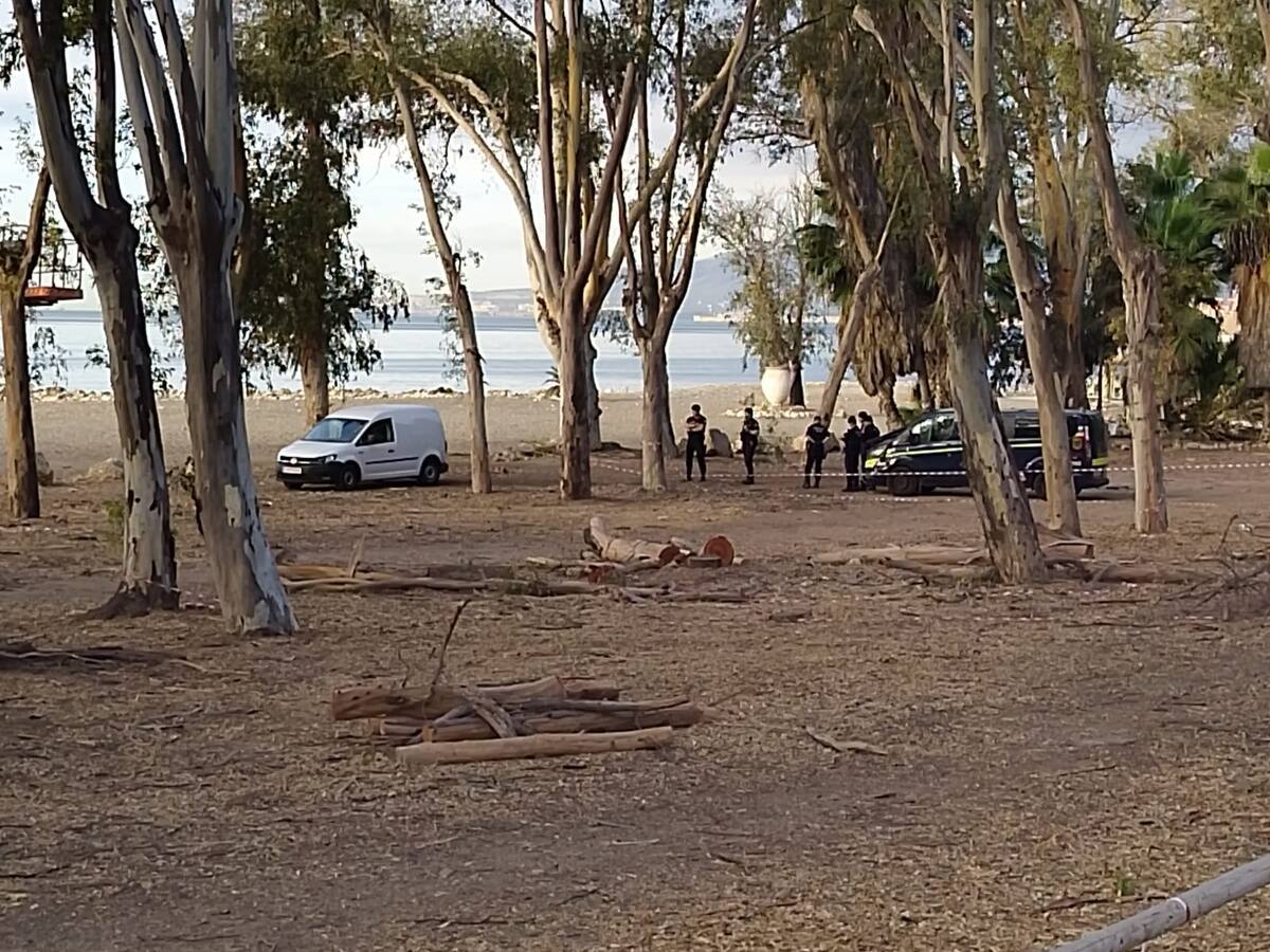 Comienza la polémica tala de eucaliptos en los Baños del Carmen con la presencia de la Policía Local de Málaga