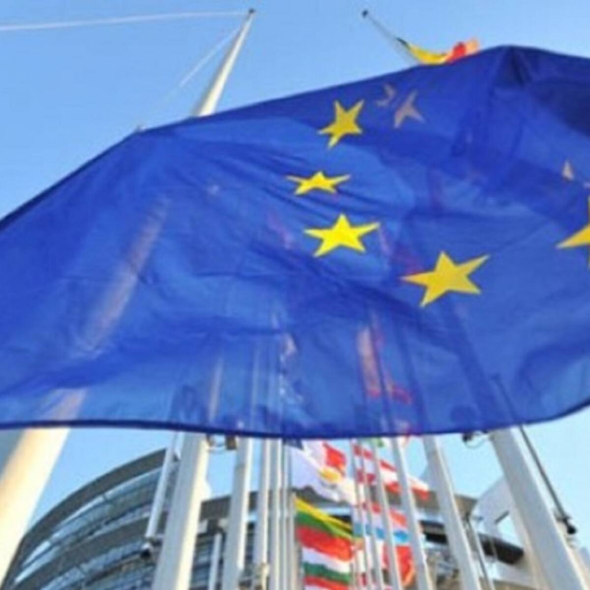 PIMEM aboga por un rescate por parte de la Unión Europea