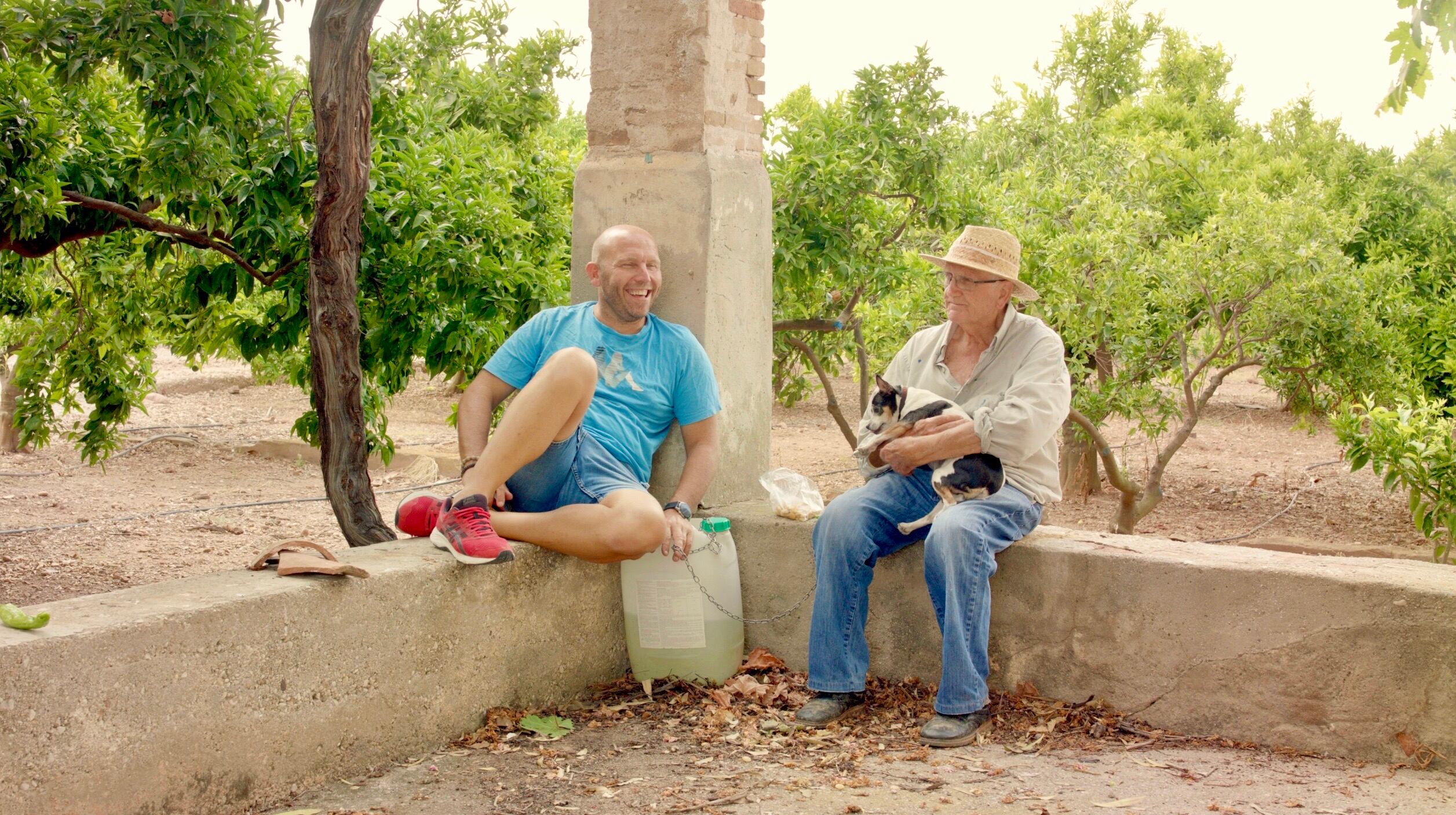 Fotograma de Domingo Domingo