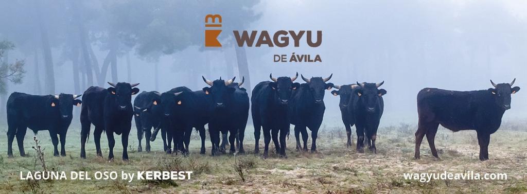 Wagyu en Ávila con Kerbest