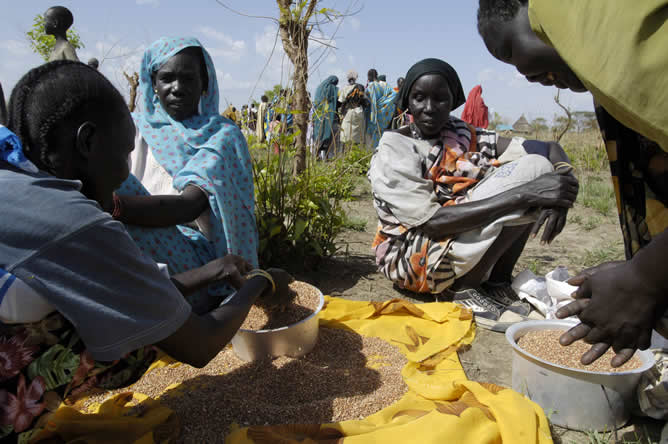 250 millones de personas están desnutridas en África, y 33 millones son niños.