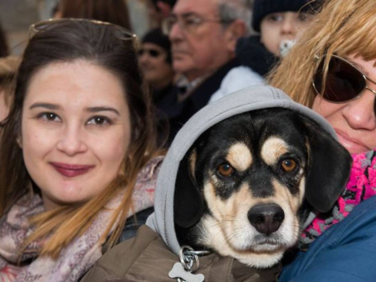 El barrio de San Antón celebra su tradicional bendición de animales