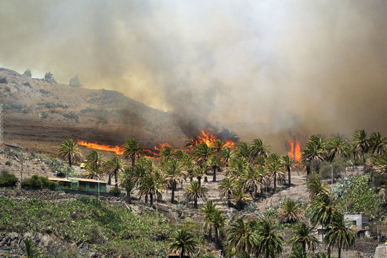 Las llamas quemaron mas de 11 por ciento de La Gomera. 