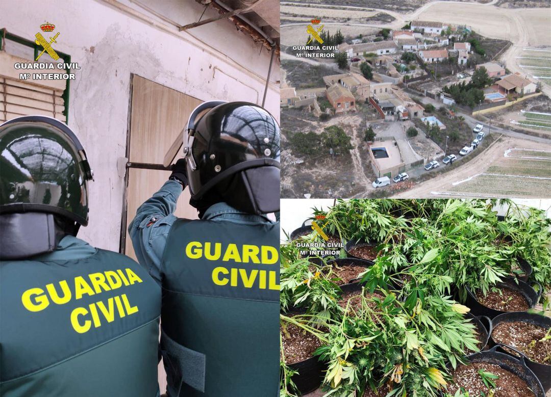 La Guardia Civil desarticula en Murcia un grupo criminal dedicado al cultivo y tráfico de droga al menudeo
