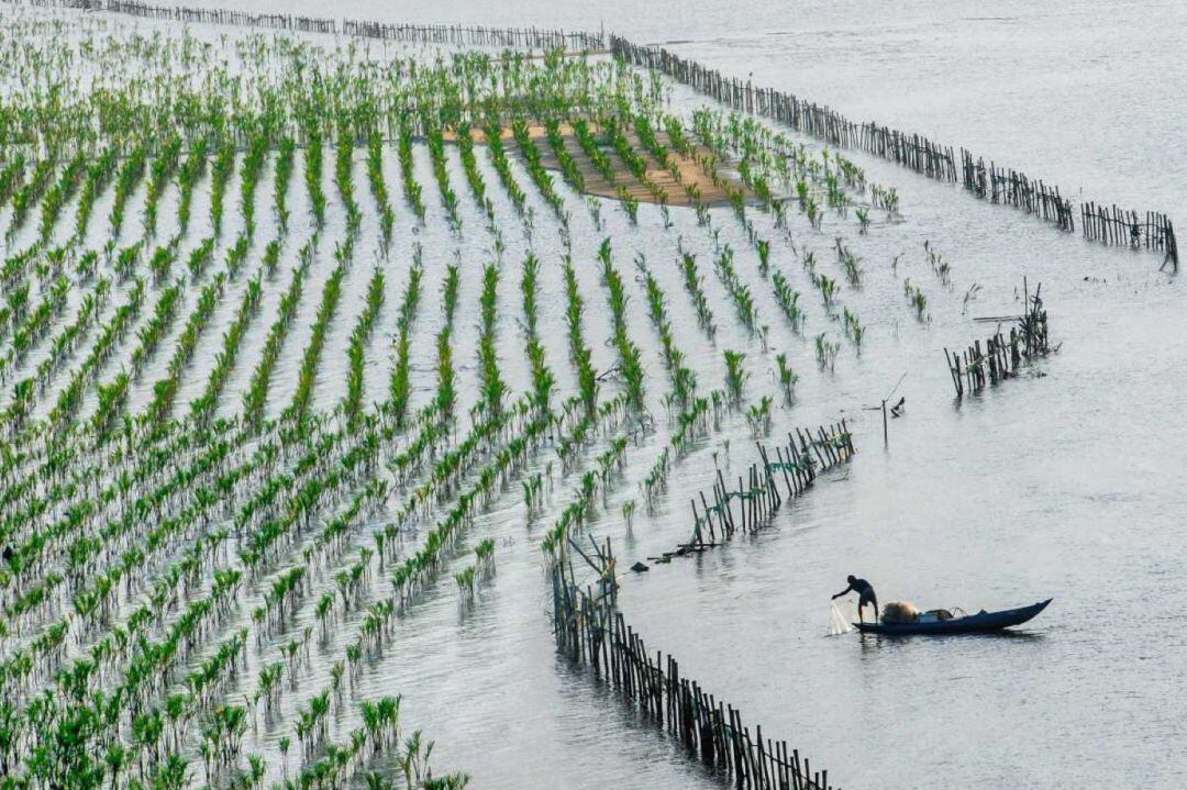 Aquesta zona del Vietnam entra a formar part de les reserves de biosfera.