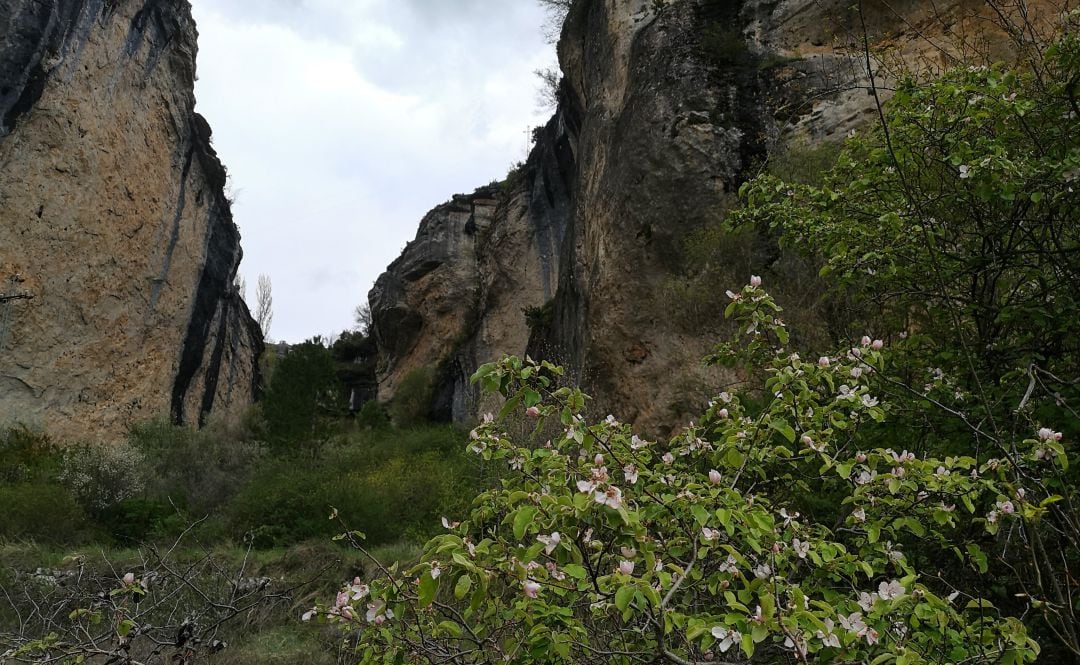 Senda del Hocino, en Fuertescuesa (Cuenca).