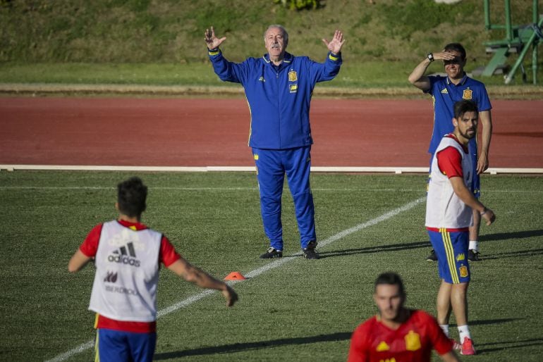 El seleccionador español, Vicente Del Bosque, durante el entrenamiento de la selección española de fútbol en la Ciudad del Fútbol de Las Rozas.