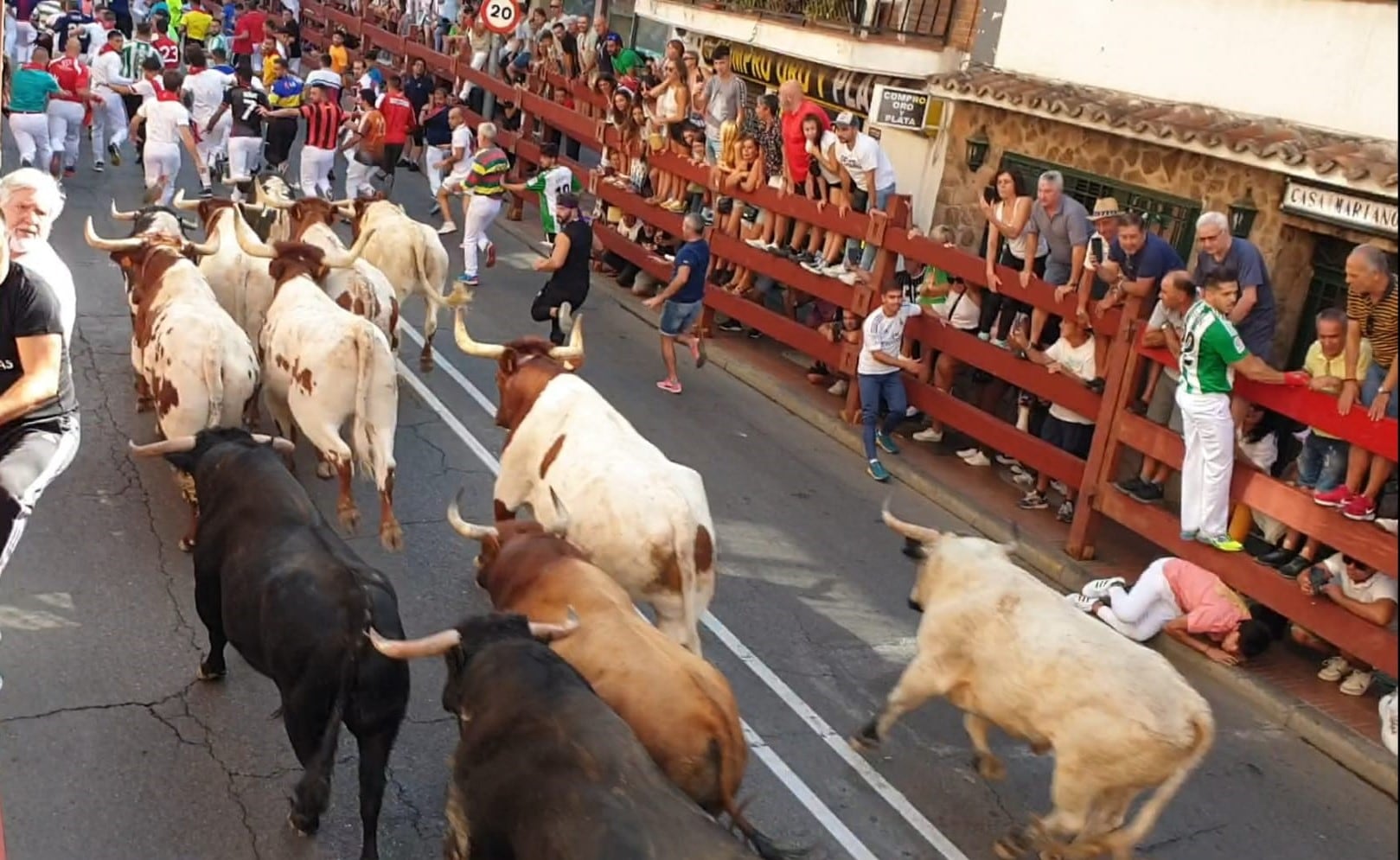 Cuarto encierro de las Fiestas en honor al Cristo de los Remedios