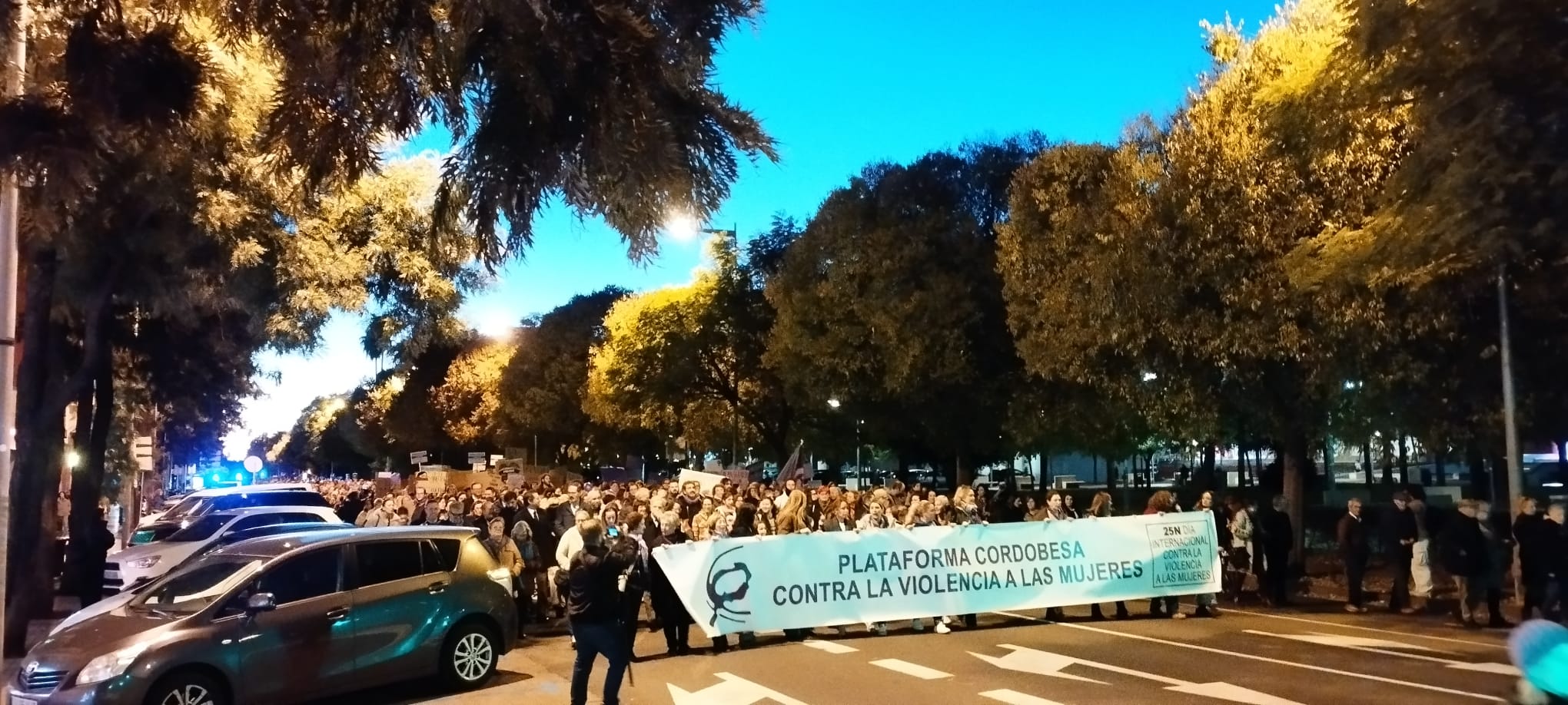 Manifestación del 25N en Córdoba, por la avenida de América.