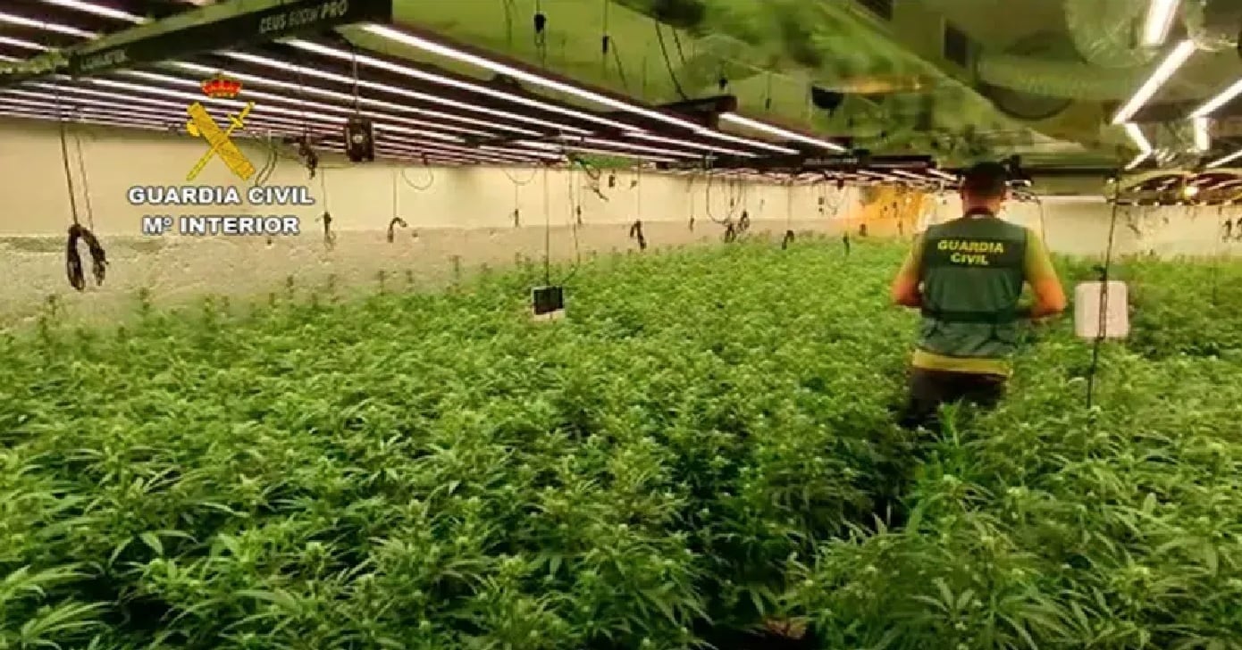 Operación de la Guardia Civil en Hormigos (Toledo)