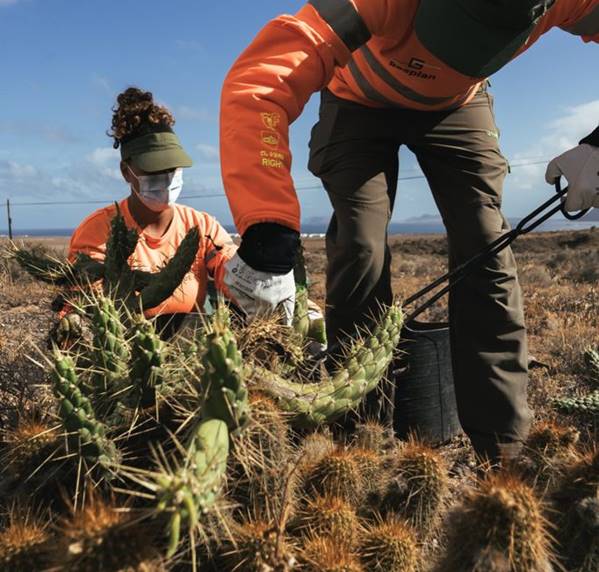 Operarios trabajando en el campo.