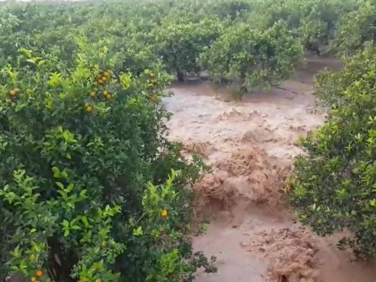 Una balsa de riego rota en Sucina provoca indignación en Los Alcázares