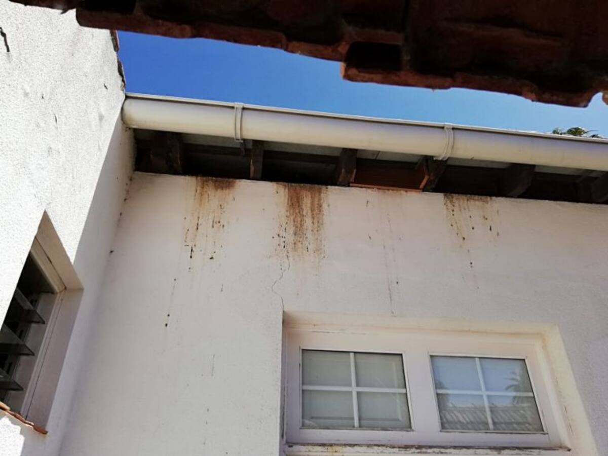 Denuncian la insalubridad de las dependencias de la Policía Nacional de La Laguna