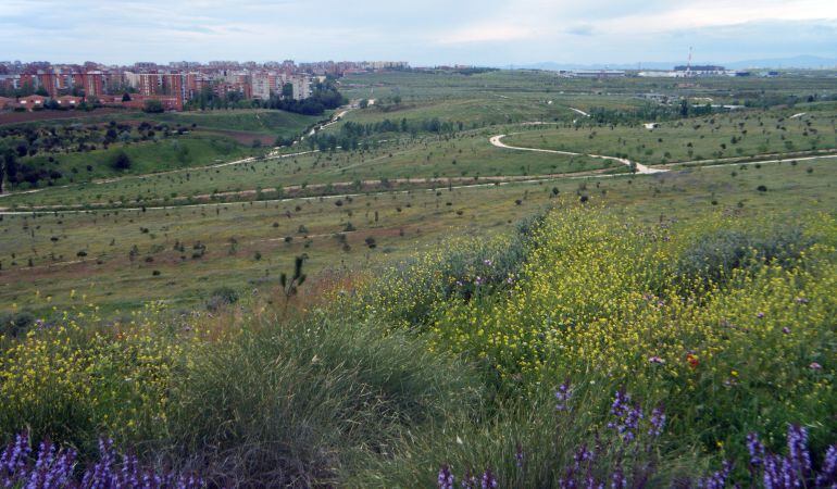 Los campos de Bosquesur entre Fuenlabrada y Leganés