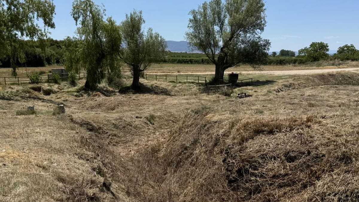 AUDIO: Los regantes de Huéscar se manifiestan contra la sobreexplotación de los acuíferos