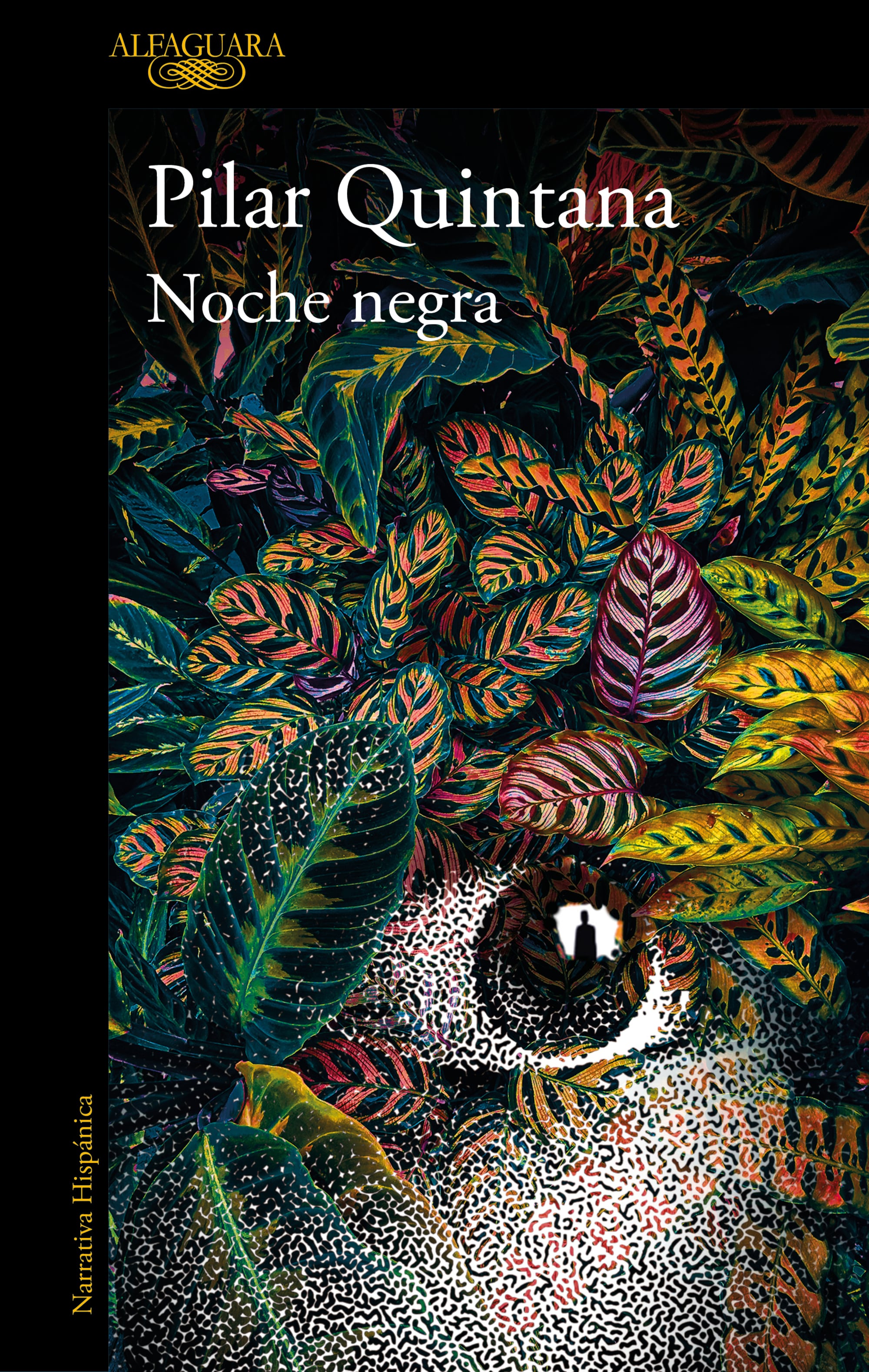 Cubierta de &#039;Noche negra&#039;, de Pilar Quintana
