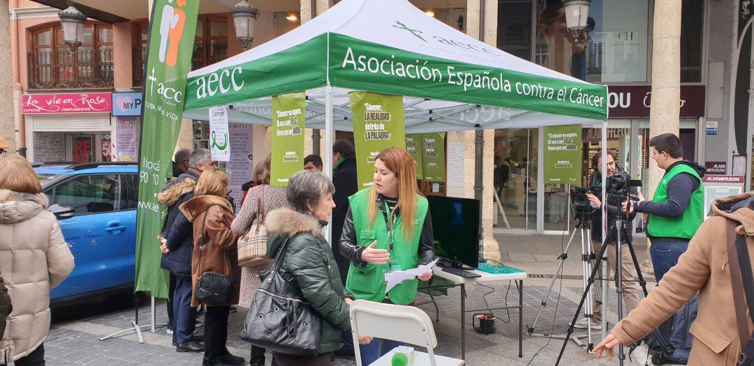 Carpa instalada en la Calle Mayor en el Día Mundial Contra el Cáncer