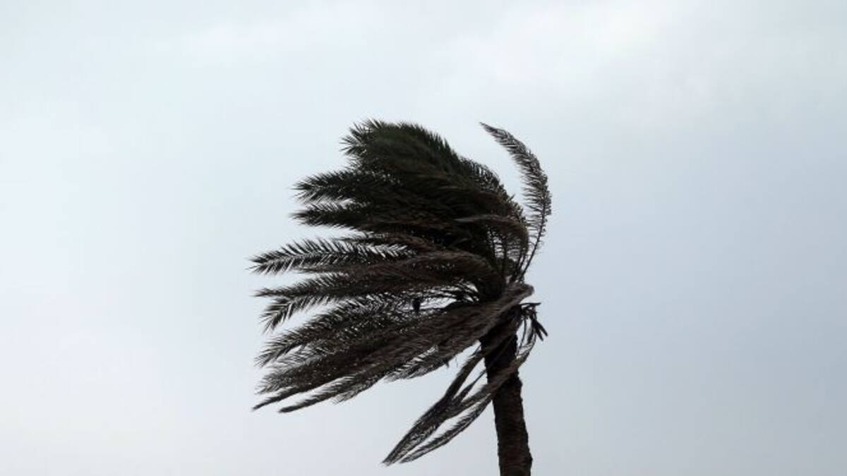 La primavera se estrena con viento y fuerte oleaje este martes en Canarias
