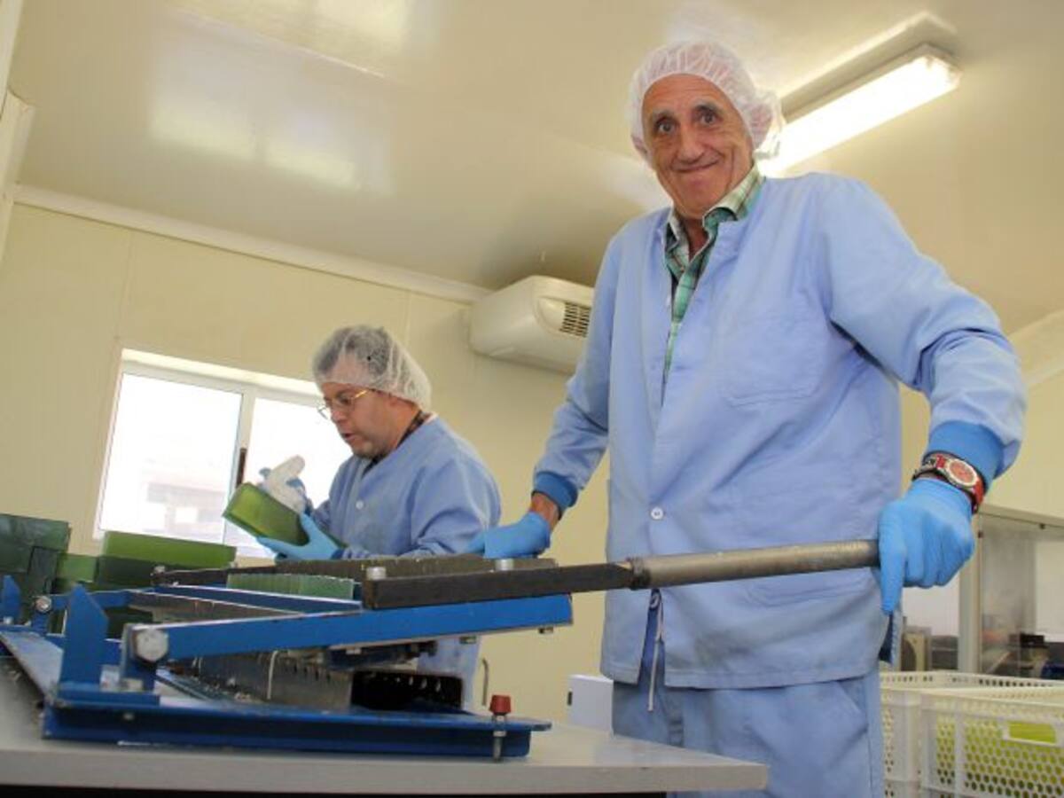 Plan Estratégico de Igualdad de Oportunidades para Personas con Discapacidad