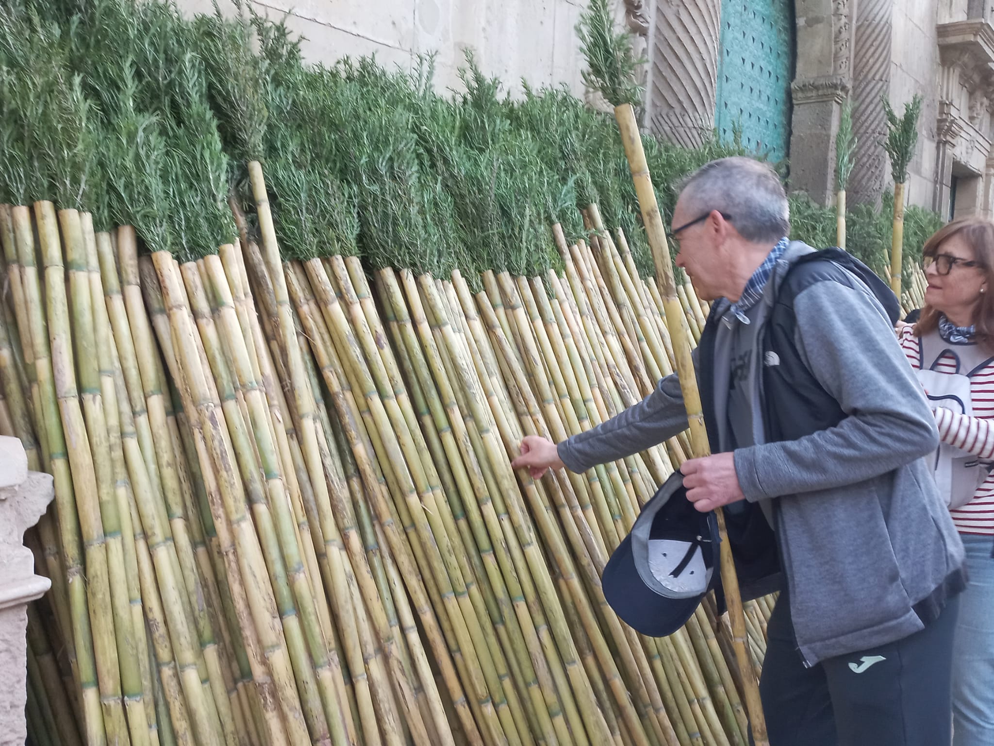 Romeros de la Santa Faz 2025 recogen sus cañas a las puertas del Ayuntamiento de Alicante