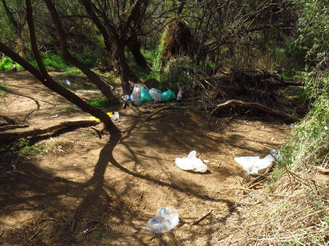 Sendero del Pantano de Elche