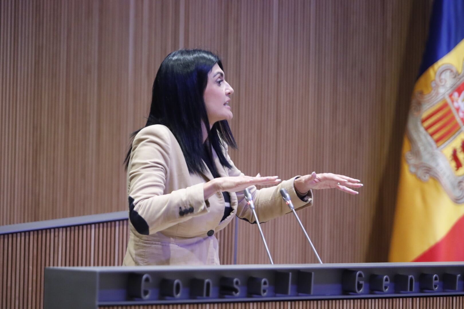 La presidenta del grup parlamentari d&#039;Andorra Endavant, Carine Montaner