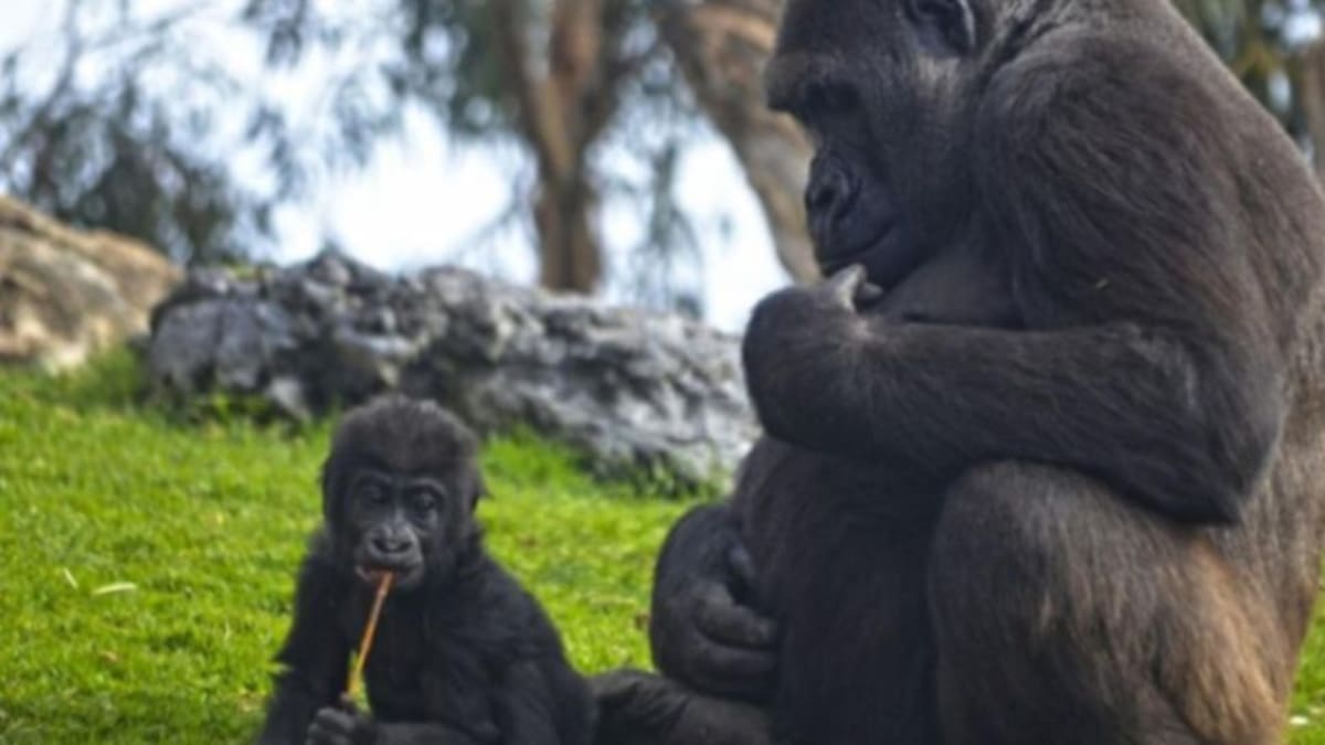 Entrevista a Eduardo Nogués y Luis Ángel Martínez