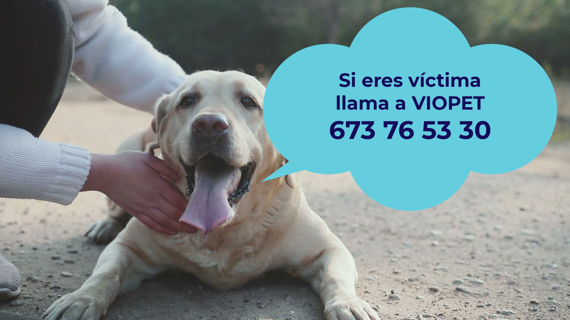El Proyecto VIOPET está destinado a a la protección de animales de compañía para mujeres víctimas de violencia de género