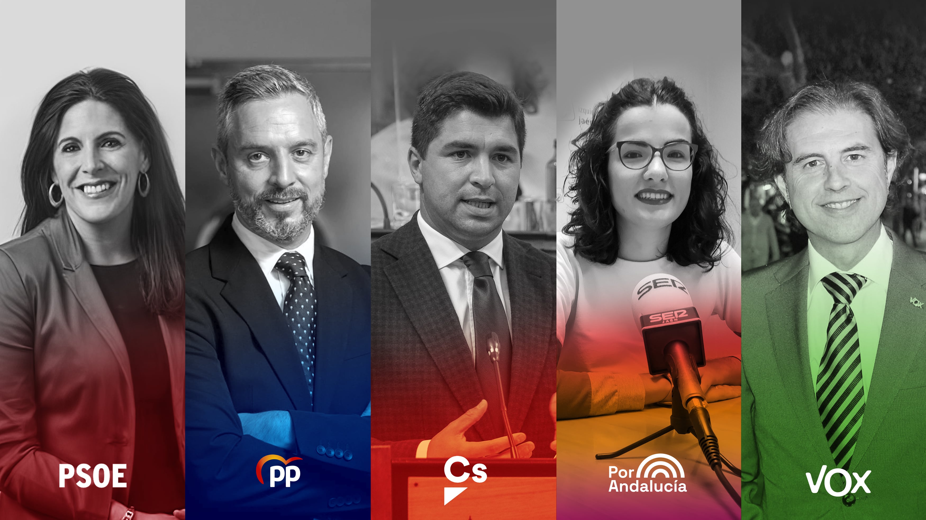 De izquierda a derecha, Ángeles Férriz (PSOE), Juan Bravo (PP), Enrique Moreno (Cs), Mamen Barranco (PA) y Benito Morillo (VOX).