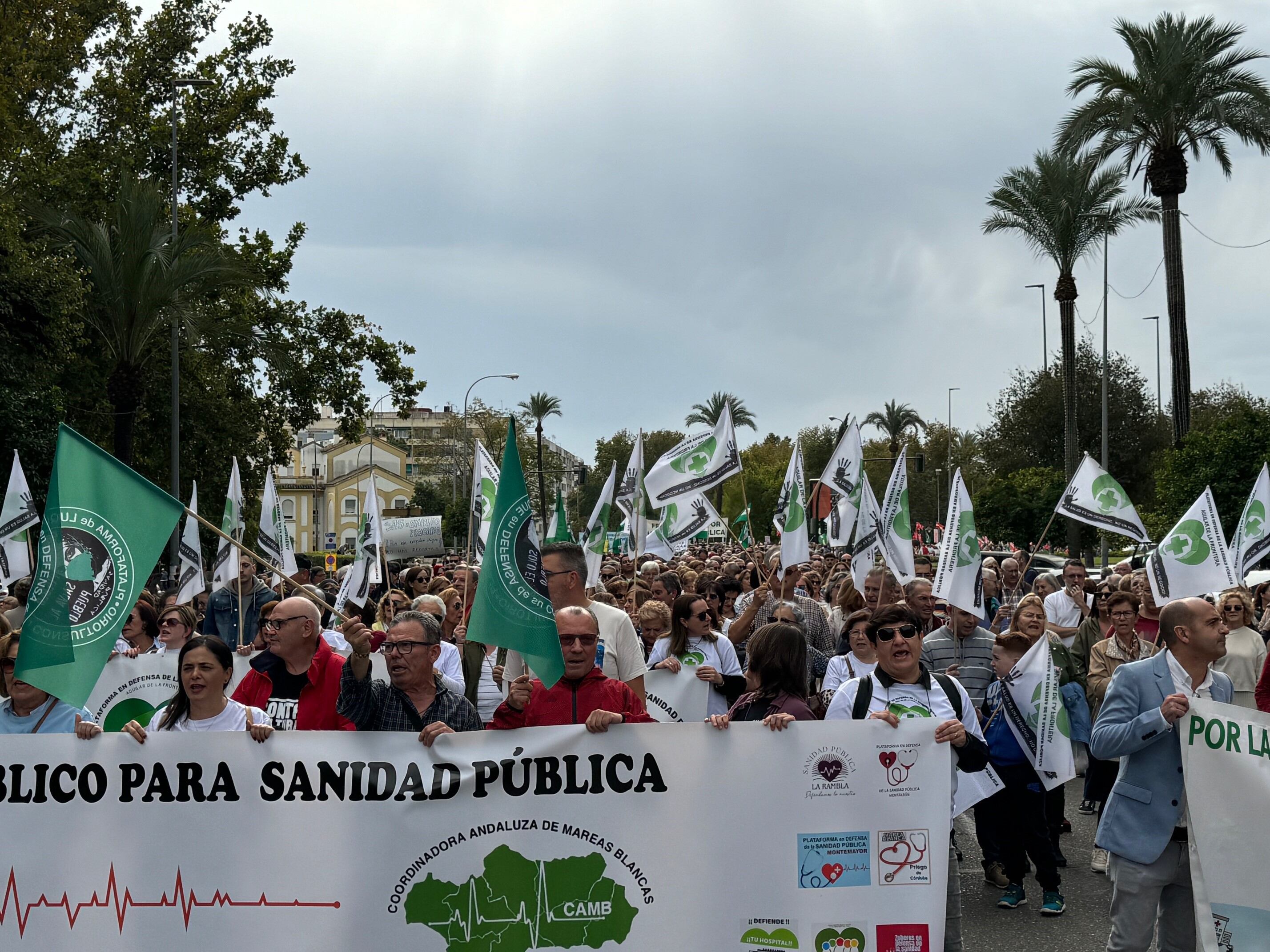 Manifestación de las Mareas Blancas en Córdoba